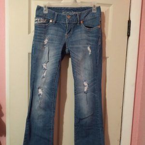 Ariya Distressed Jeans